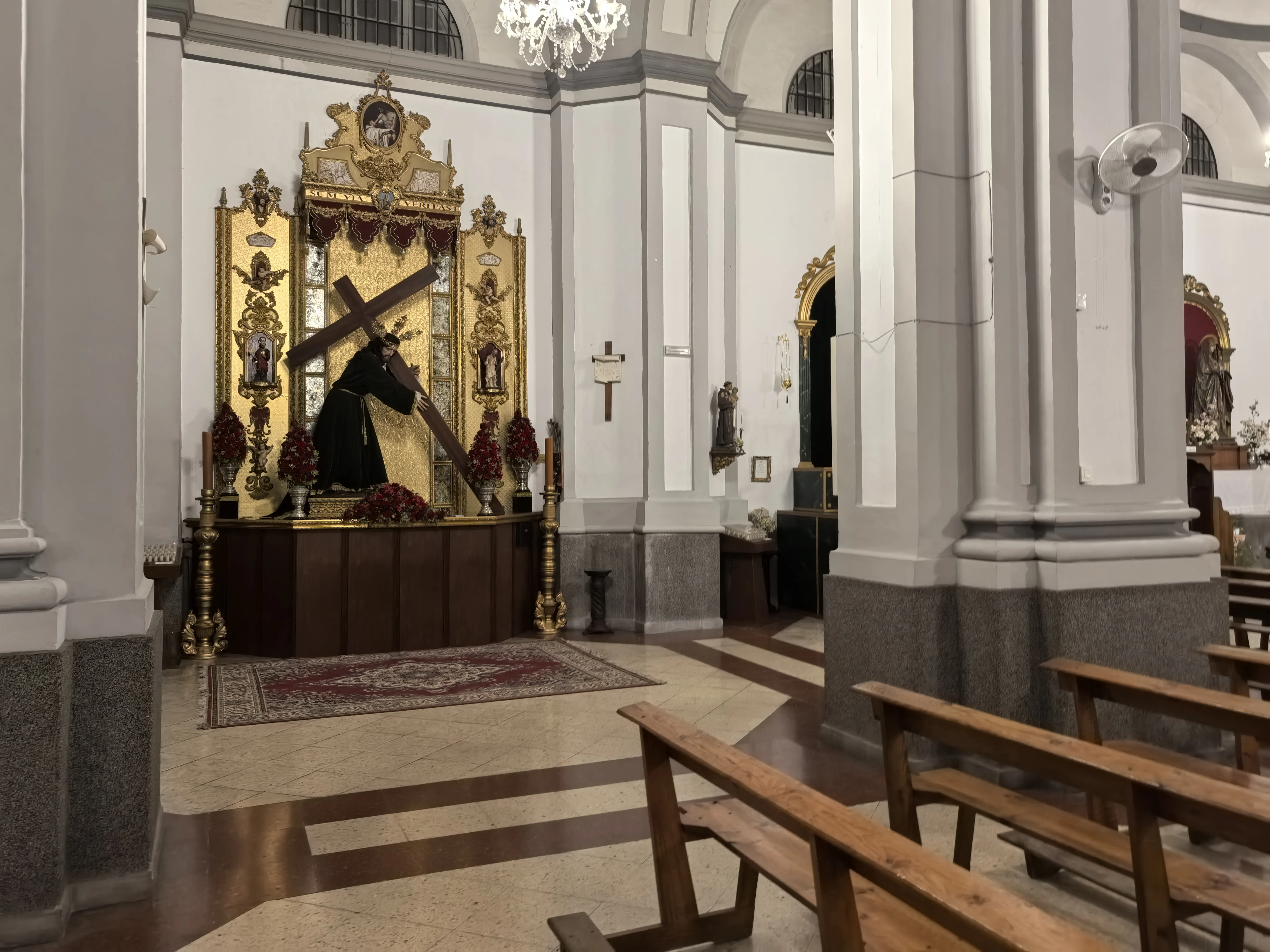 HUAWEI Pura 70 Ultra - System Aparatów - IMG_20251121_185003.webp